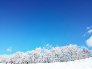 冬の青空と樹氷