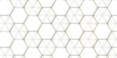 Abstract white background with hexagons. Abstract hexagon polygonal pattern background vector. seamless bright white Pattern with hexagons illustration of a honeycomb. Futuristic surface .