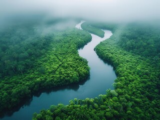 Bird's-eye view of tropical rainforest with river winding through, lush greenery, open sky, space for copy