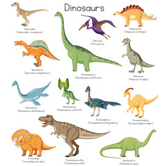 Vector collection of cute flat dinosaurs, including T-rex, Stegosaurus, Velociraptor, Pterodactyl, Brachiosaurus and Triceratop, isolated on white. Dinosaur set