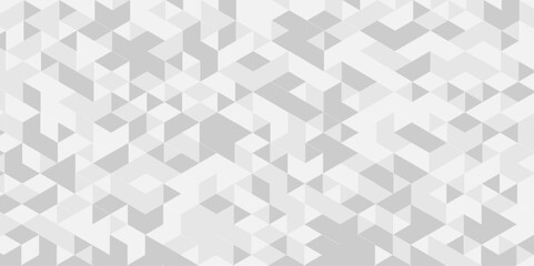 Vector geometric seamless technology gray and white triangle background. Abstract digital grid light pattern white Polygon Mosaic triangle Background, business and corporate background.