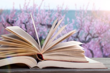 Flower petals in the spring background, book on the desk