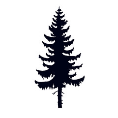 Forest Tree Illustration