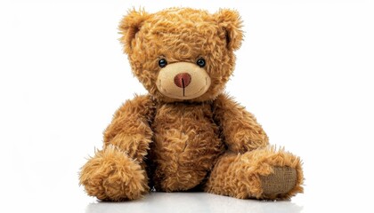 Obraz premium Teddy bear toy with shadow on white