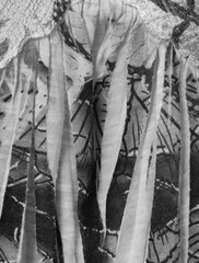 Monochrome fabric texture_black and white_180610.jpg