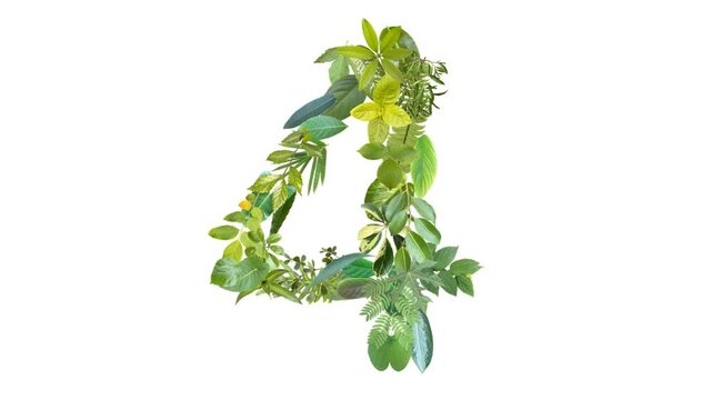 4, the number is formed from the arrangement of fallen leaves, suitable for birthday, anniversary and memorial day templates	
