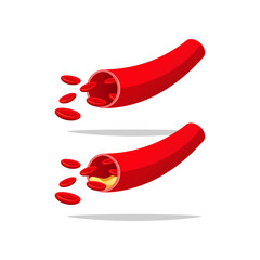 Vector human blood vessels. Human arterial blood.