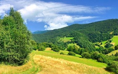  Summer lanscape in  mountains, Gorce Mountains, Poland.
