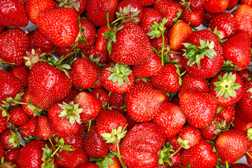 Background for design from scattered red strawberries. View of the archive with copy space