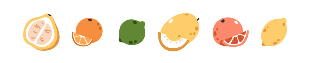 Tropical fruits set. Pomelo half, orange and cut slice, tangerine, whole lime, melon, grapefruit and lemon. Fresh citrus, healthy food. Flat vector illustrations isolated on white background