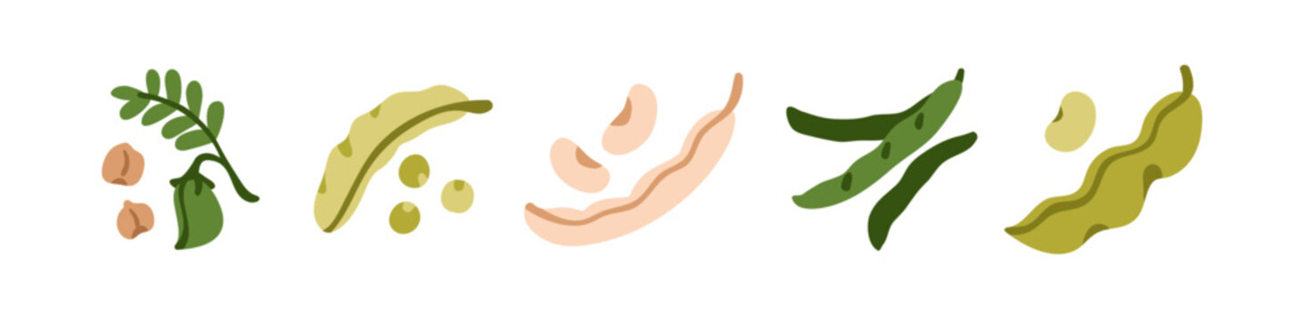 Chickpea, bean, peas in pod, legume and green edamame snaps icons set. Healthy vegetables, vegetarian and vegan protein and fiber plant food. Flat vector illustration isolated on white background