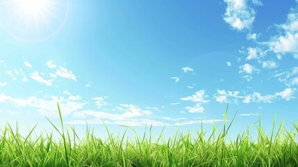 Obraz premium Spring landscape with green grass under a clear blue sky
