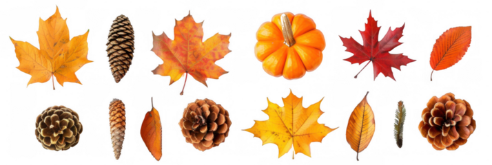Autumn Elements Collection