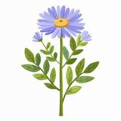 flower illustration isolated on white background	