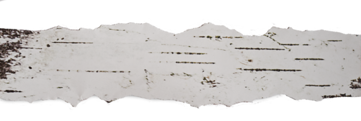 Papier podarty, komunikat, podarta krawędź papieru, podarte kartki