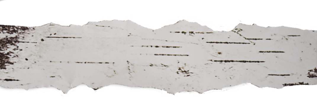 Papier podarty, komunikat, podarta krawędź papieru, podarte kartki