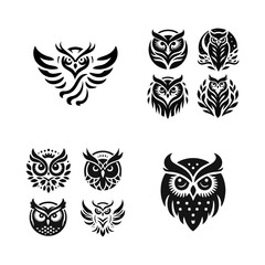 Fototapeta premium owl bird logo icon design