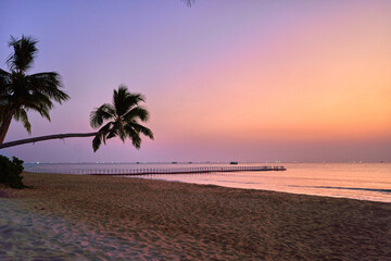 Wallpaper of coast with tall palm trees at sunset with gradient idyllic sky