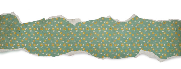 Podarty Papier: Wyizolowane PNG z Podartymi Krawędziami © AltisArt