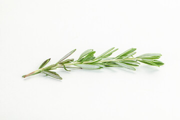 Rosemary branch - organic spicy herb