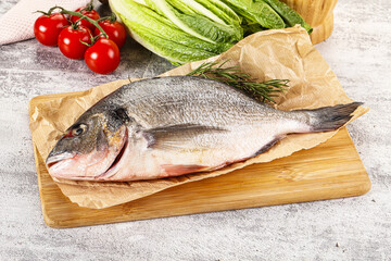 Raw dorada fish served rosemary