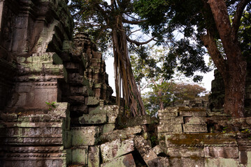 Fototapeta premium Angkor Thom, ancient temple ruins in Cambodia jungle with tree roots