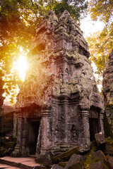 Angkor Thom, ancient temple ruins in Cambodia jungle with tree roots