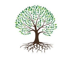 Green tree. Tree roots, vintage eco natural biological live wood image symbol, drawing decorative vector illustration, on white background, use for icon, logo, print