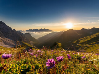 spring in the mountains