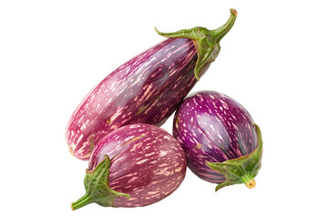 A single striped Indian purple eggplant is isolated on a white background.