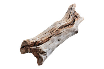 Fototapeta premium driftwood isolated on transparent background