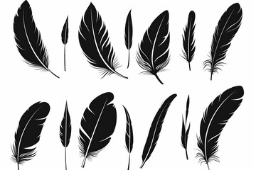 Feather icon, animal feathers isolated, black plume symbol, minimal plume silhouette on white