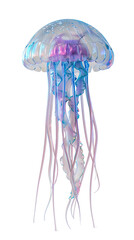 Colorful and translucent jellyfish with long tentacles, showcasing beautiful iridescent colors against a white background.