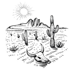 Desert sketch with cactus and skull, vector illustration. Hand drawn landscape of Arizona.