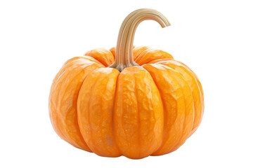 Obraz premium Cinderella pumpkin with a green stem isolated on a white background, great for autumn themes and decorations