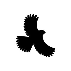 Silhouette of a bird. A bird flying with wide spread wings. Bird tit, sparrow.