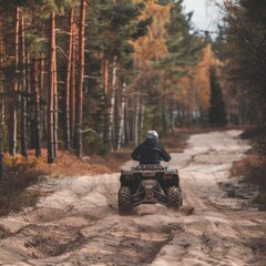 Driving modern quad bike in forest. Extreme adventure, ride sport off road, utility vehicle on sandy track