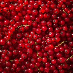 Red currant berries texture background, Ribes rubrum fruits pattern, many redcurrant mockup, pink berries