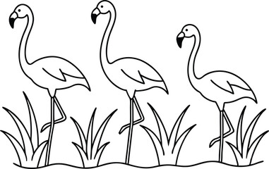 flamingos group standing in a wetland line art vector illustration, tropical bird flamingo line drawing	
