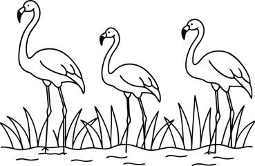 flamingos group standing in a wetland line art vector illustration, tropical bird flamingo line drawing	
