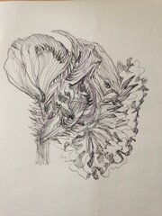 hand drawn sketch of a flower