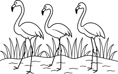flamingos group standing in a wetland line art vector illustration, tropical bird flamingo line drawing	
