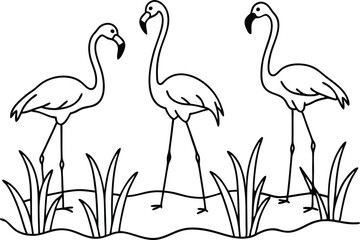flamingos group standing in a wetland line art vector illustration, tropical bird flamingo line drawing	
