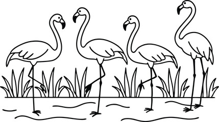 flamingos group standing in a wetland line art vector illustration, tropical bird flamingo line drawing	
