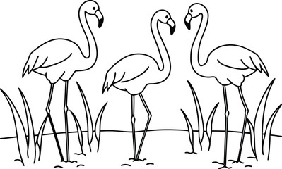 flamingos group standing in a wetland line art vector illustration, tropical bird flamingo line drawing	
