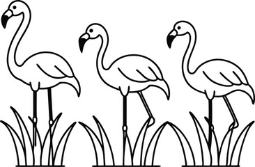 flamingos group standing in a wetland line art vector illustration, tropical bird flamingo line drawing	
