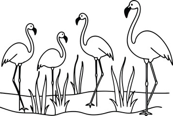 flamingos group standing in a wetland line art vector illustration, tropical bird flamingo line drawing	
