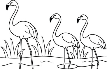 flamingos group standing in a wetland line art vector illustration, tropical bird flamingo line drawing	
