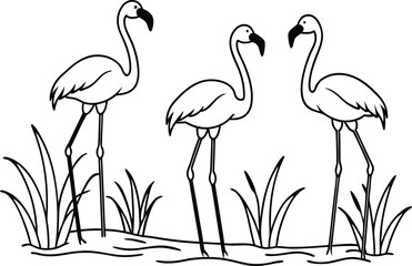 flamingos group standing in a wetland line art vector illustration, tropical bird flamingo line drawing	
