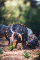 Triceratops Migration: A Herd on the Move